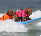 Aussie Beach Dog™ Life Vest