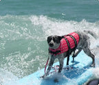 Aussie Beach Dog™ Life Vest