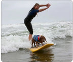 Aussie Beach Dog™ Life Vest