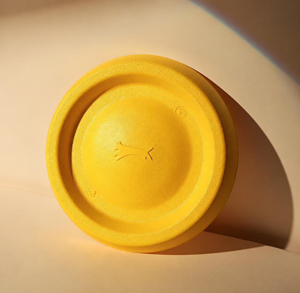 JRCOCO Floating Dog Frisbee